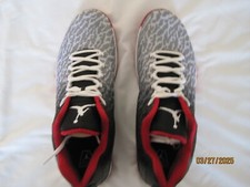 Air Jordan XX9 Low  Size 14