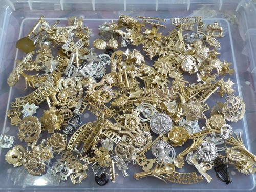 200x mixed british - mixed,