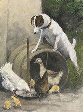 SMOOTH FOX TERRIER CHARMING