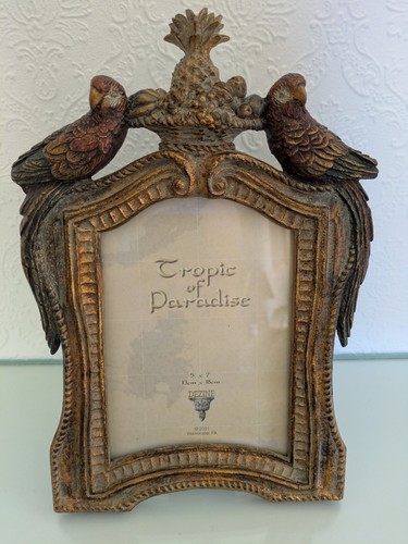 Vintage style parrot - parrot, photo
