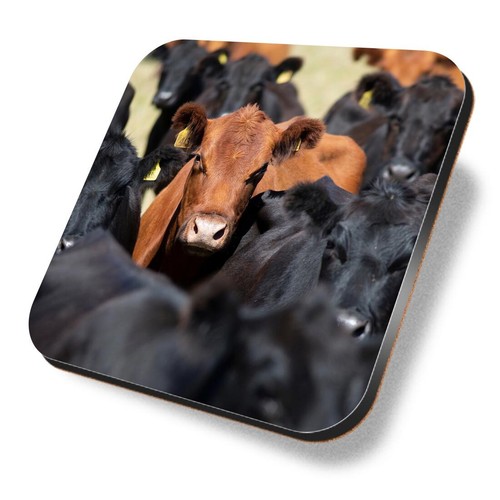 Square mdf coaster aberdeen - square,