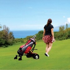 Electric golf cart remote - electric,