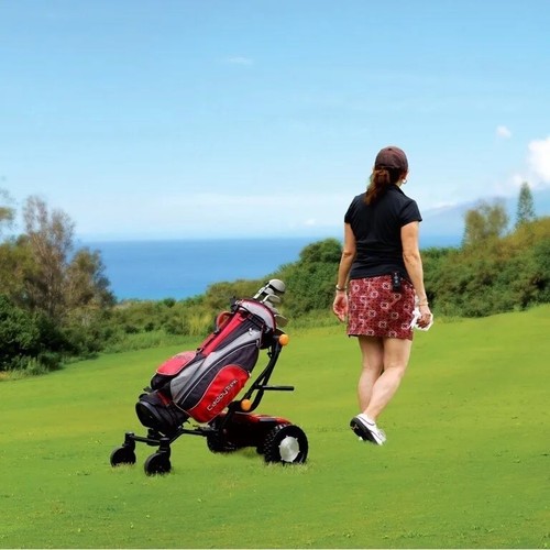 Electric golf cart remote - cart,