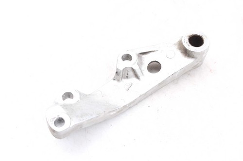 Rear brake caliper holder