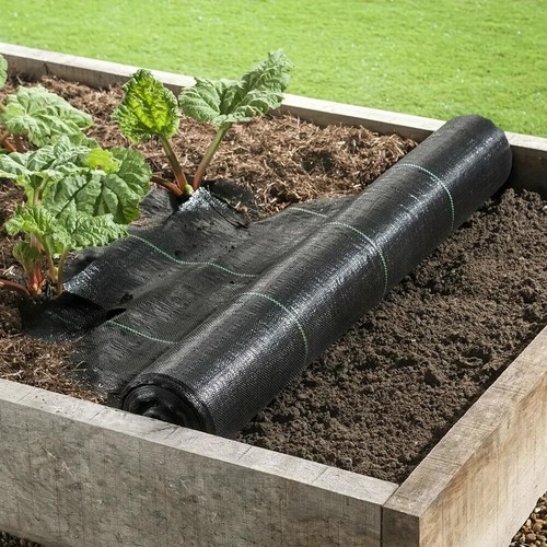 Thick plastic weed - weed, control