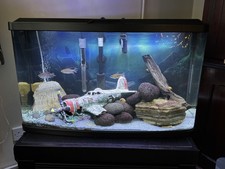 Well Established 87L Marina