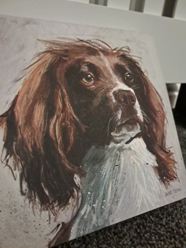 Canvas painting springer - of,