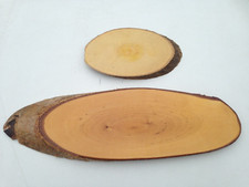 Natural wood slice bark edges x 2 tree wood table mat sign GLAZED on one side