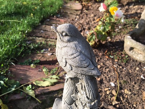 Bird spade garden - bird, on