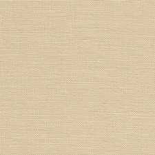 Antique Ivory  32 Count