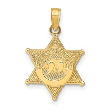 14k Yellow Gold Deputy Sheriff