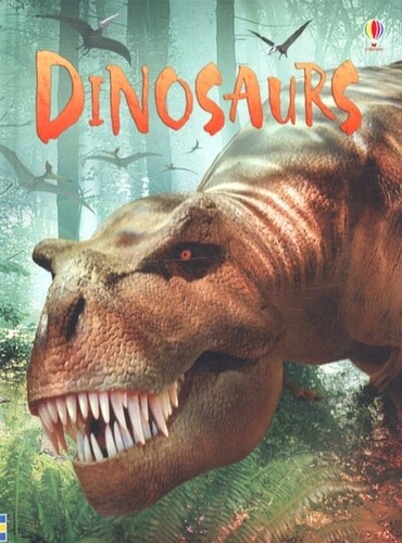 Usborne beginners - ,