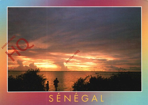 Picture postcard senegal - picture, postcard:;senegal