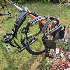 Horse Harness Top Quality Webbing Harness  L@@K New Super Quality White Metal