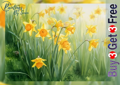 Yellow daffodils spring - yellow,