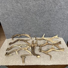 Mixed Fallow Antler Dog Chew