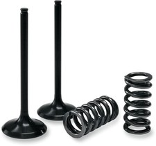Prox Valve & Spring Kit For