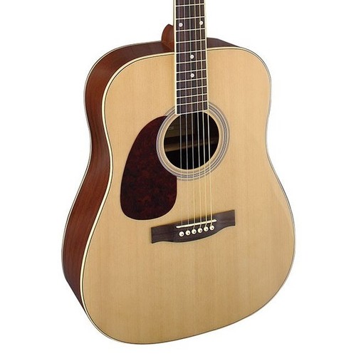 Brunswick bdl200 dreadnought - brunswick,