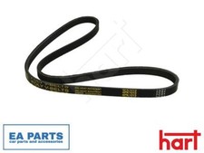 V-Ribbed Belt for IVECO DAILY
