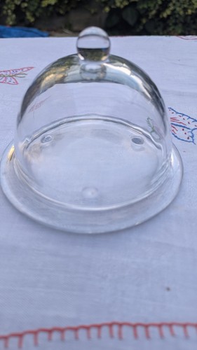 Glass cheese dome - glass, on