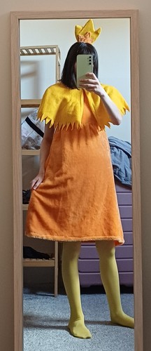 Custom made torchic pokemon - custom,