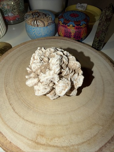 Desert rose crystal selenite - rose,