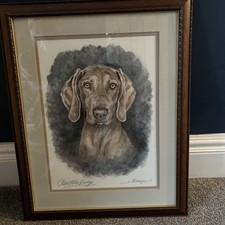 Large head study ￼Weimaraner Dog Painting signed 