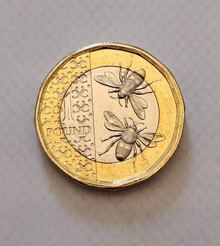 United kingdom coin 1 pound - united,
