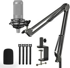 Audio Technica AT2020 Mic