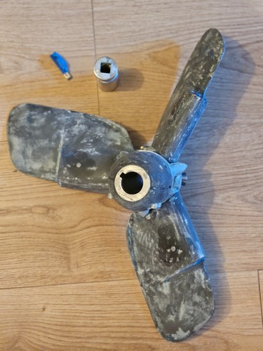 Kiwi feather prop - , 16.5''