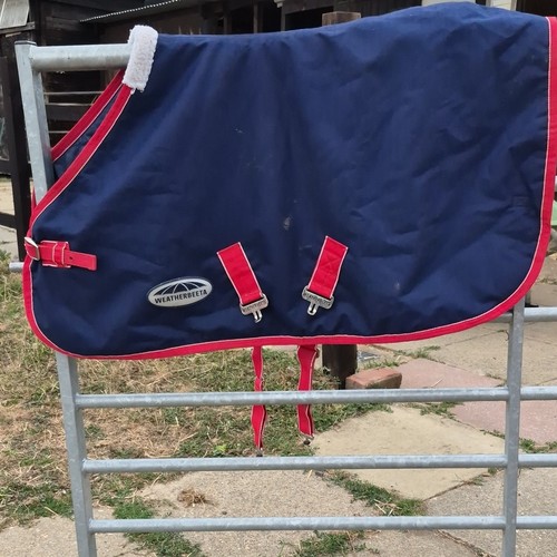 Weatherbeeta foal out - weatherbeeta,