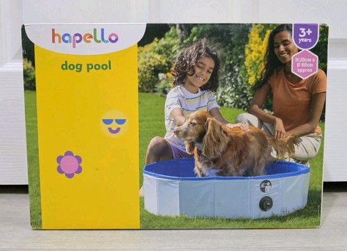 Hapello dog pool summer - dog, play