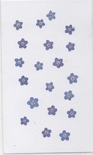 REAL PRESSED FLOWERS. 20