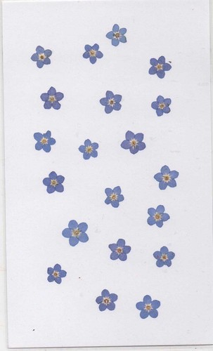 Real pressed flowers - pressed, flowers.