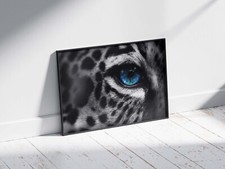 BEAUTIFUL LEOPARD BLUE EYES