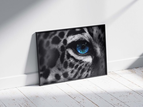 Beautiful leopard blue eyes - leopard,