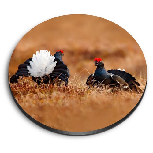 Round fridge mdf magnet - fridge,