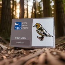 RSPB-Pin Badge HAWFINCH   On A