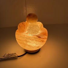 Himalayan Glow Salt Lamp w/5