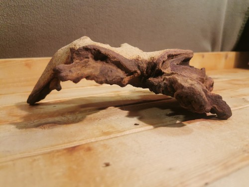 391g mopani wood - wood, for