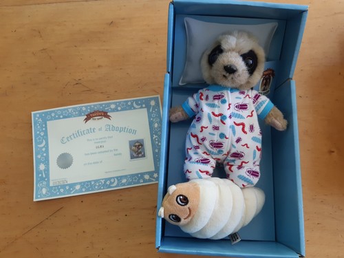 Compare the meerkat - compare,