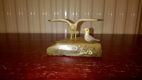 Seal seagulls rocks home - seal,