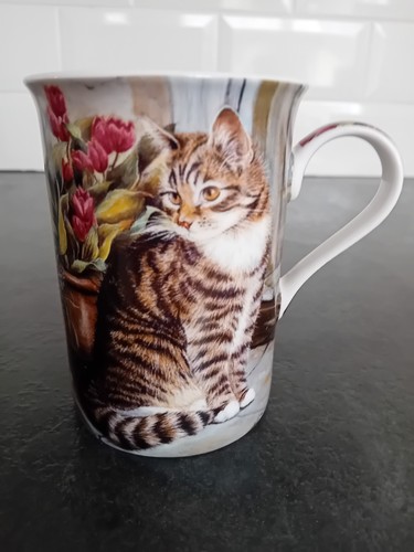 Cottage cat tabby - “cottage,