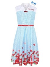 BNWT Adults Dorothy(Wizard of