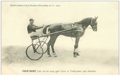 Horse racing 35965 jean - horse,