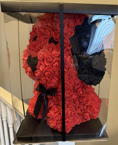 Red black rose - black, bear