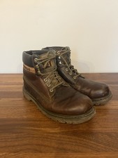 Cat Caterpillar Colorado