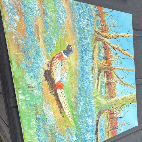 Pheasant bird landscape - pheasant,