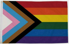 PROGRESS PRIDE FLAG 5' x 3'