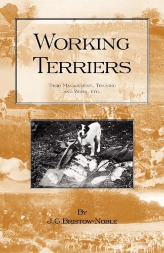 Working terriers their - terriers,